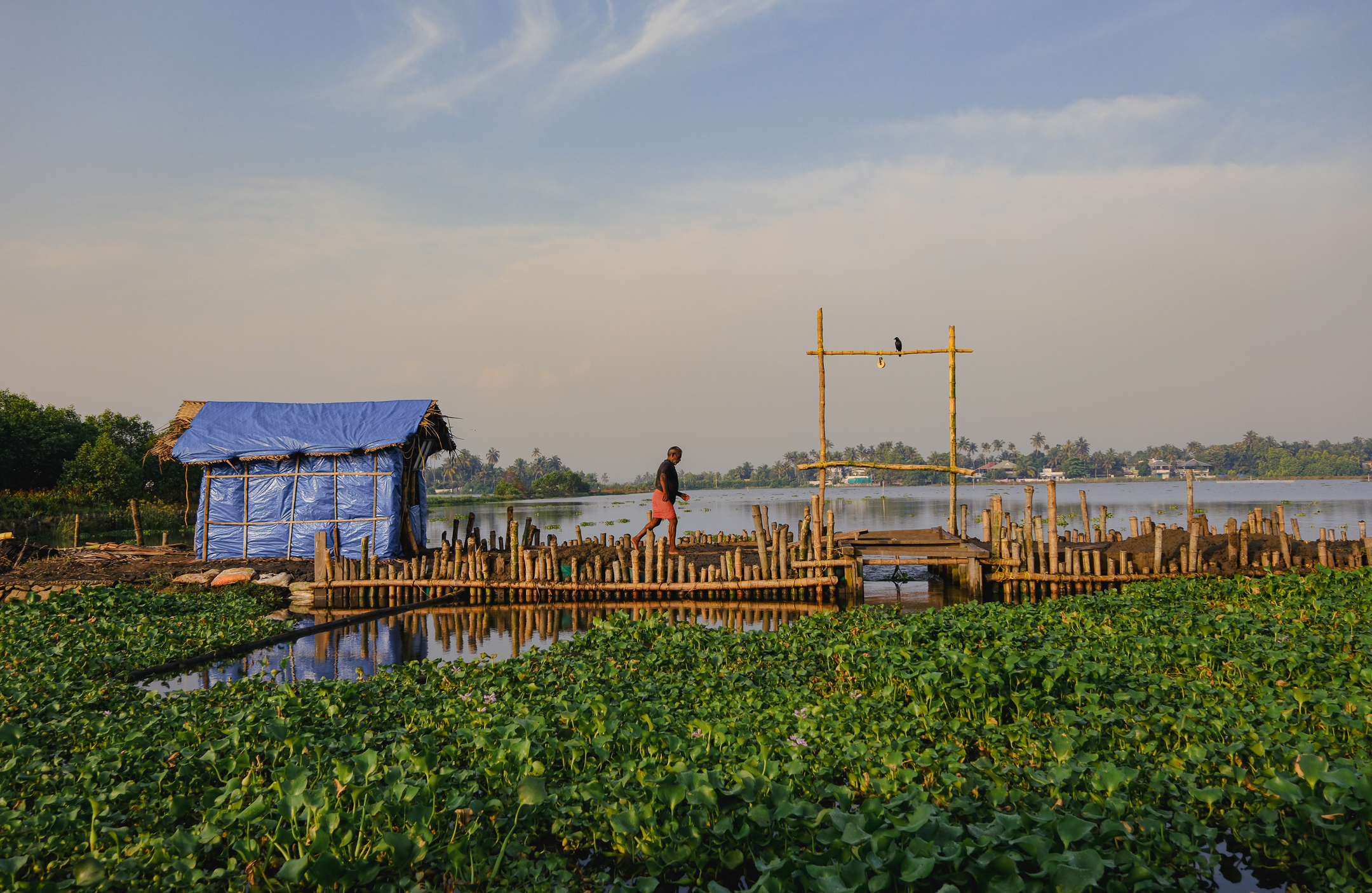 Integrated  Farming in Kadamakudy