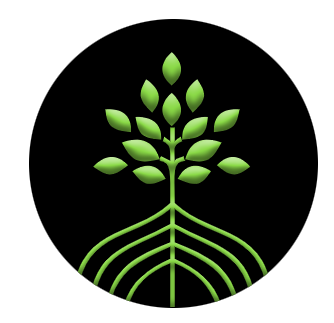 Kadamakudy.org