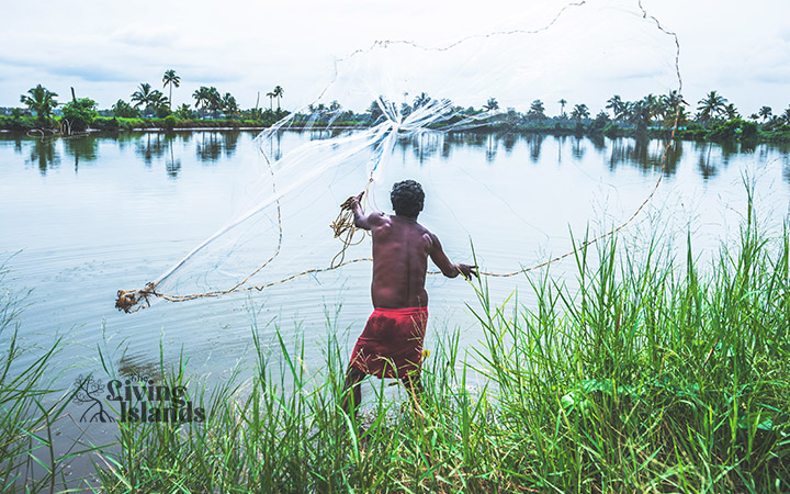 Fishing in Kadamakudy